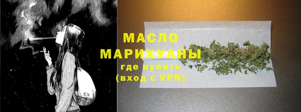 индика Беломорск