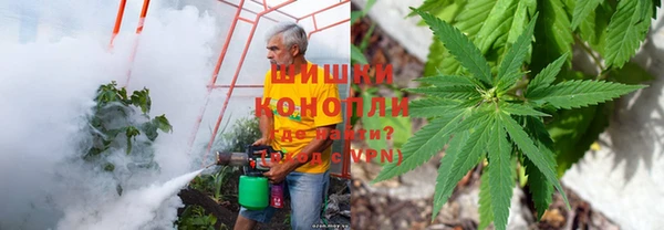 трава Богородицк