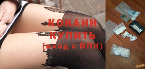 spice Богородск