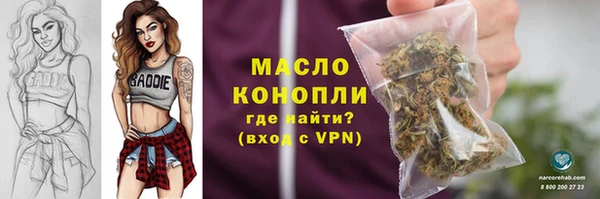 индика Беломорск