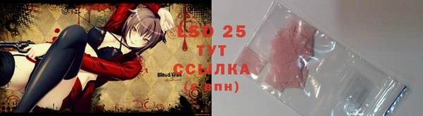 индика Беломорск
