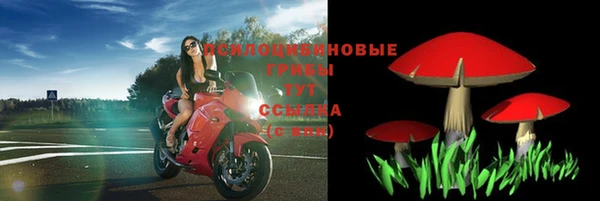 spice Богородск