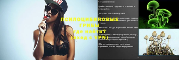 spice Богородск