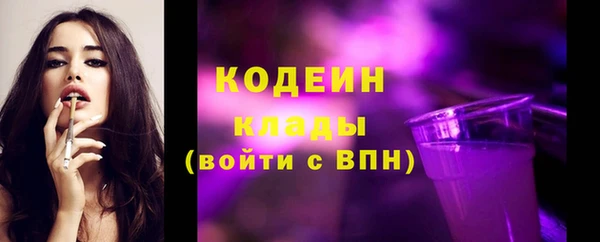 индика Беломорск