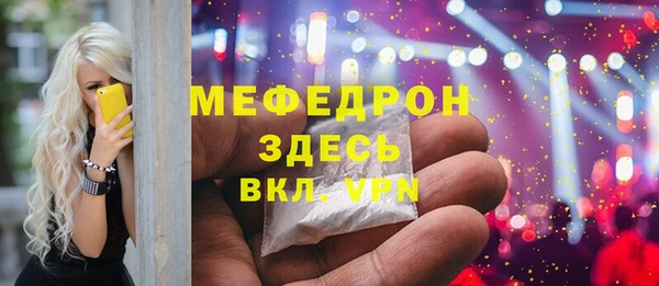 индика Беломорск